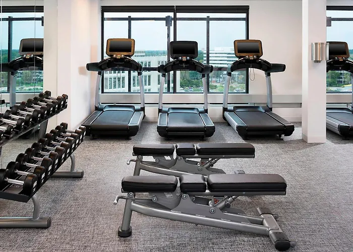 Hotel Le Meridien Chicago - Oakbrook Center 4*